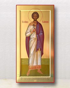 Икона «Емилиан мученик» Хотьково